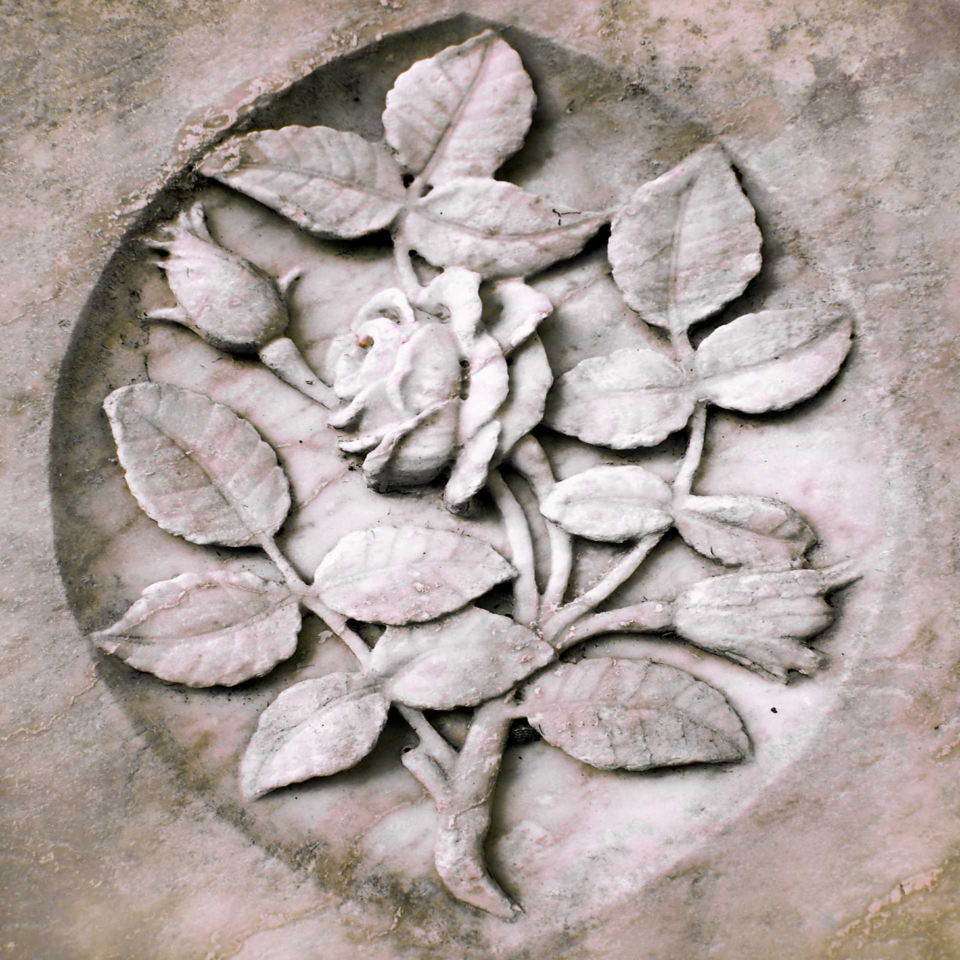 KREIG El Paso Probate Attorneys